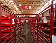 Inside view of Big Bid Barn
