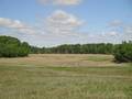 featured real estate auction photo